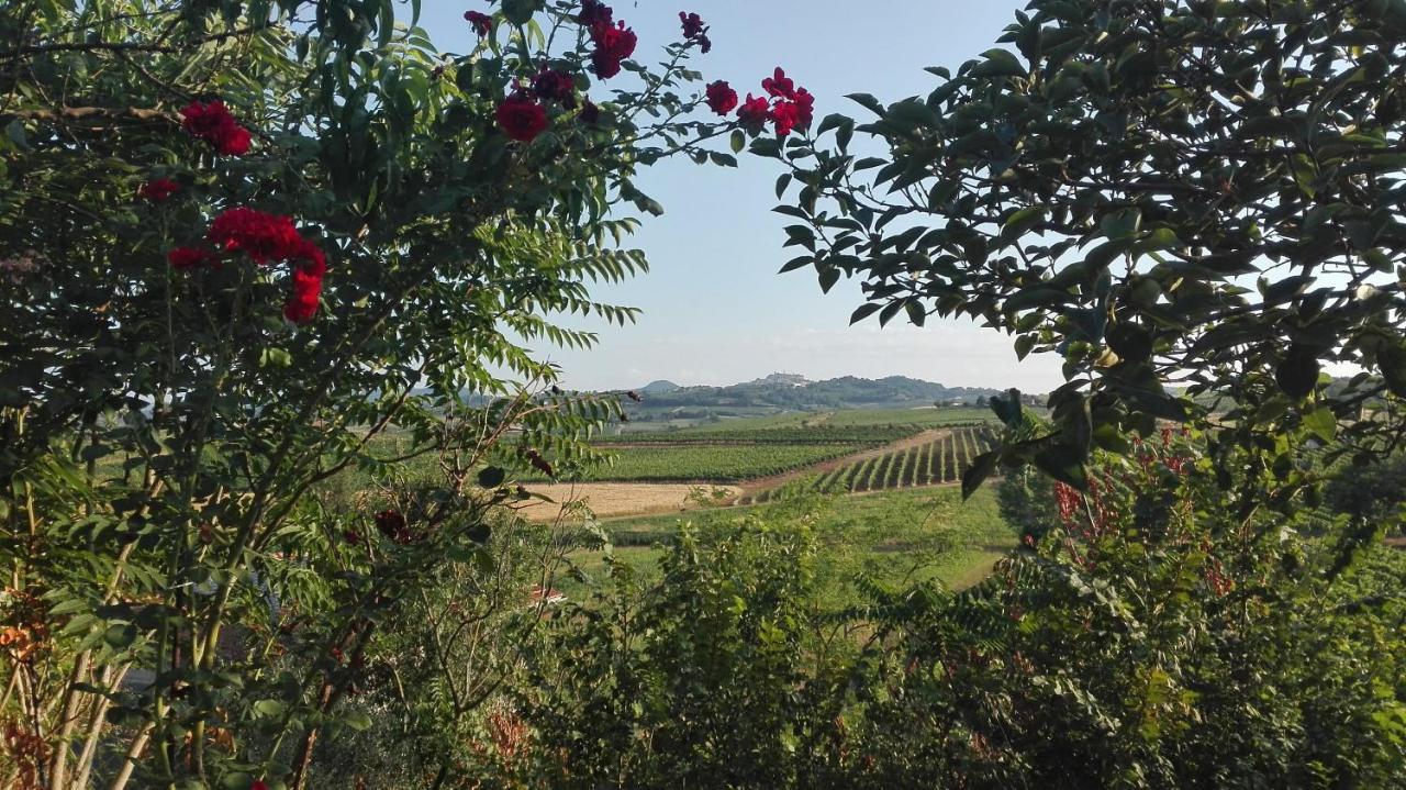 Agriturismo La Chiesina Abbadia di Montepulciano Exterior foto